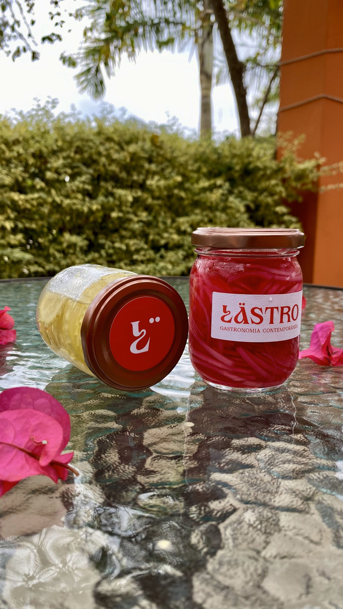 Picles Cebola Roxa - Lastro